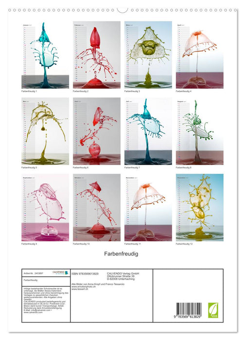 Farbenfreudig (CALVENDO Premium Wandkalender 2027)