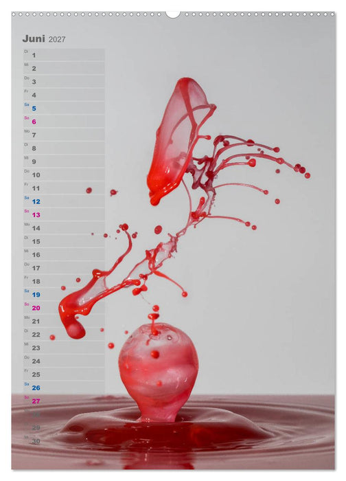 Farbenfreudig (CALVENDO Premium Wandkalender 2027)