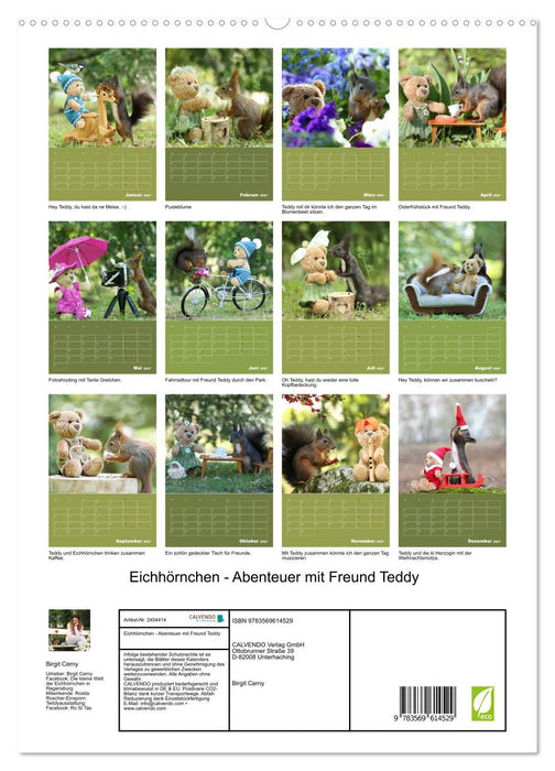 Eichhörnchen - Abenteuer mit Freund Teddy (CALVENDO Premium Wandkalender 2027)