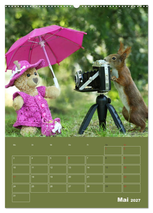 Eichhörnchen - Abenteuer mit Freund Teddy (CALVENDO Premium Wandkalender 2027)