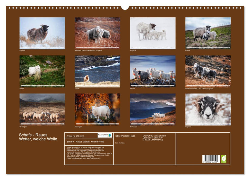 Schafe - Raues Wetter, weiche Wolle (CALVENDO Wandkalender 2027)