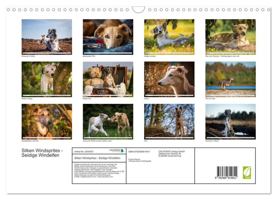Silken Windsprites - Seidige Windelfen (CALVENDO Wandkalender 2027)