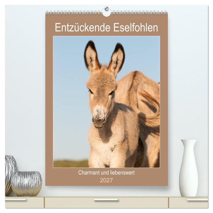 Entzückende Esel - Charmant und liebenswert (CALVENDO Premium Wandkalender 2027)