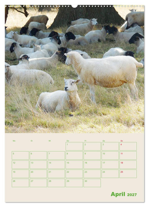 East Anglia - Englands wunderschöner Osten (CALVENDO Wandkalender 2027)