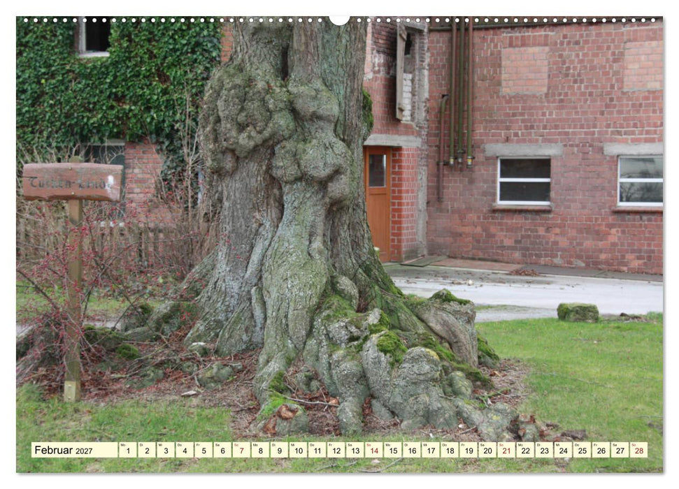 Zauberhaftes, die Natur als Künstler (CALVENDO Wandkalender 2027)