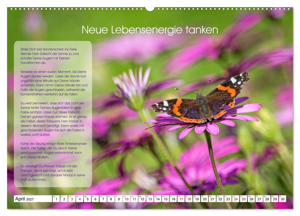 Meditation - Ein Kalender zum Mitmachen (CALVENDO Wandkalender 2027)