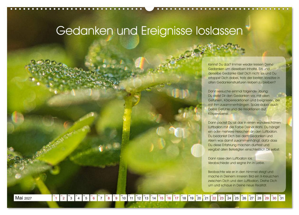 Meditation - Ein Kalender zum Mitmachen (CALVENDO Wandkalender 2027)