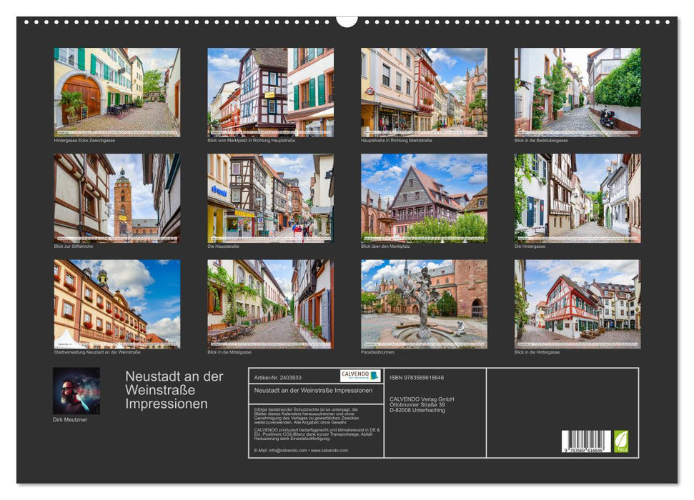 Neustadt an der Weinstraße Impressionen (CALVENDO Wandkalender 2027)