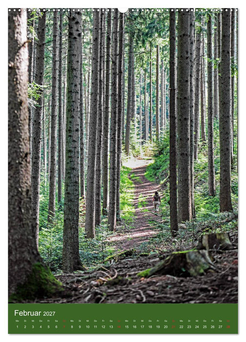 Schwarzwald Nord (CALVENDO Premium Wandkalender 2027)