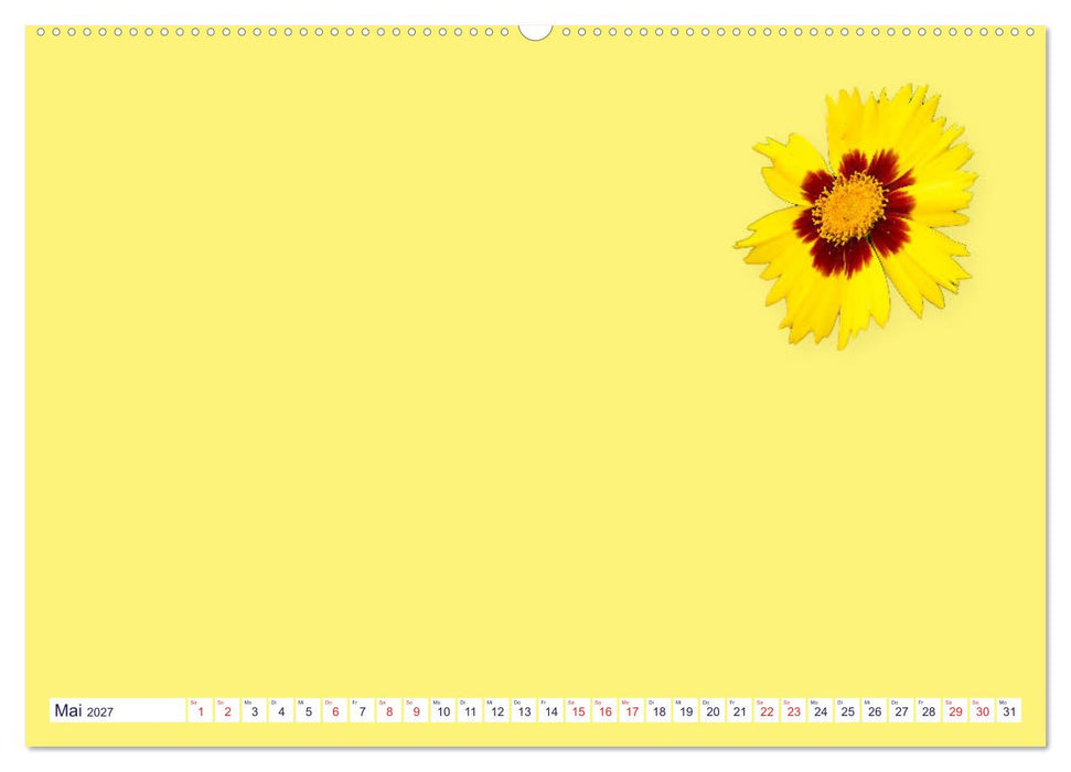 DIY POESIE - BASTELKALENDER (CALVENDO Wandkalender 2027)
