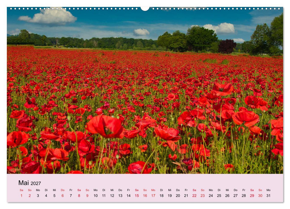 Augenblicke im Kaiserstuhl (CALVENDO Premium Wandkalender 2027)