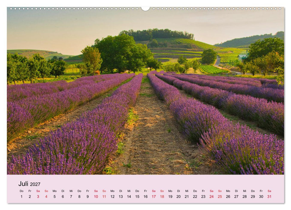 Augenblicke im Kaiserstuhl (CALVENDO Premium Wandkalender 2027)