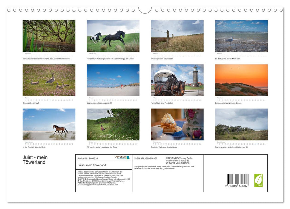 Juist - mein Töwerland (CALVENDO Wandkalender 2027)