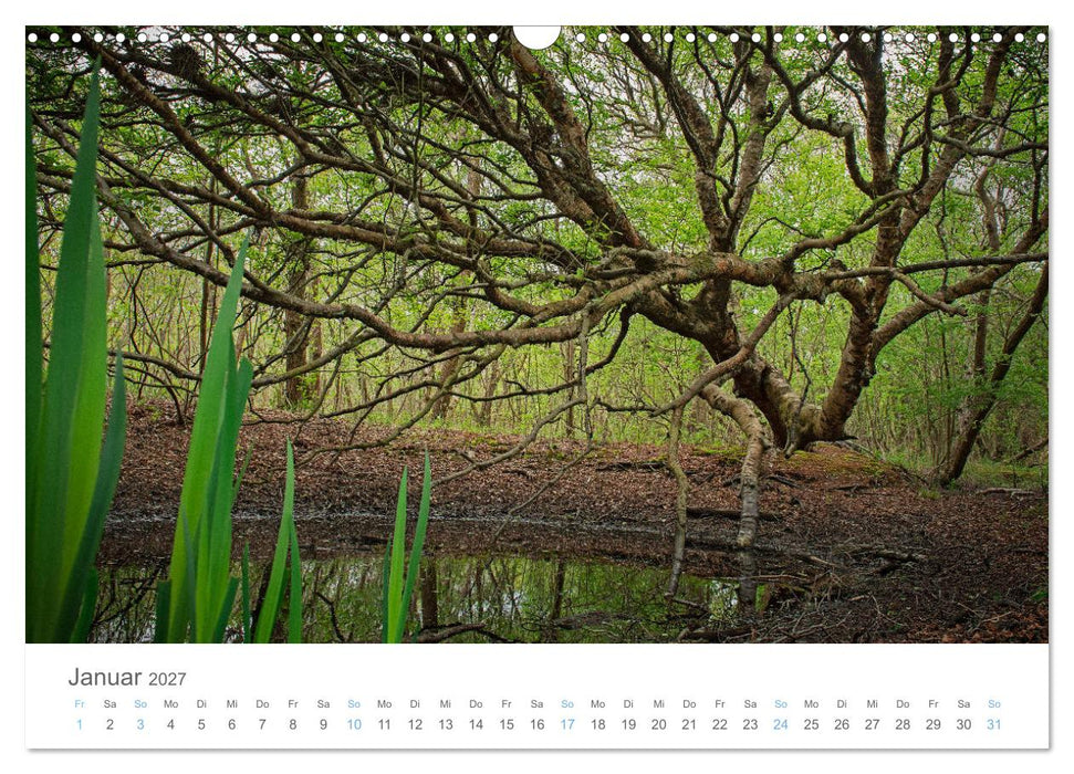 Juist - mein Töwerland (CALVENDO Wandkalender 2027)