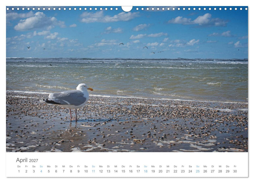 Juist - mein Töwerland (CALVENDO Wandkalender 2027)