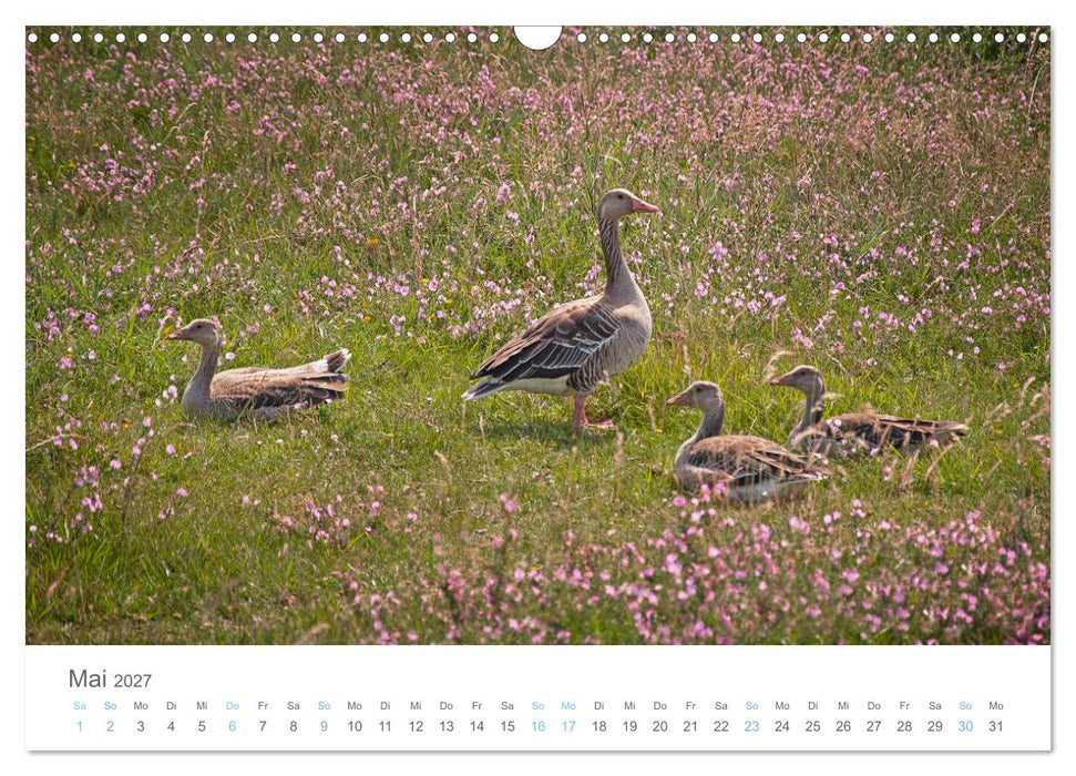 Juist - mein Töwerland (CALVENDO Wandkalender 2027)