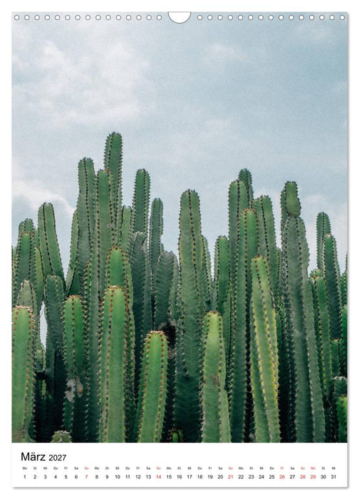 Kakteengewächse (CALVENDO Wandkalender 2027)