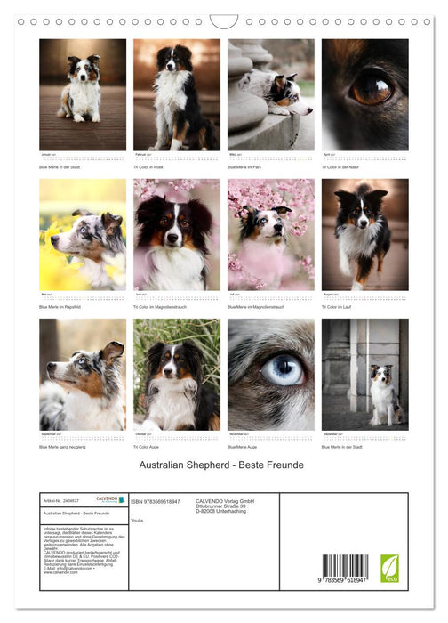 Australian Shepherd - Beste Freunde (CALVENDO Wandkalender 2027)