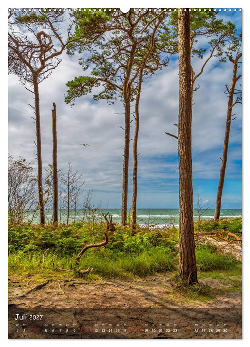 Wunderbare Ostseelandschaft Fischland-Darß-Zingst (CALVENDO Premium Wandkalender 2027)