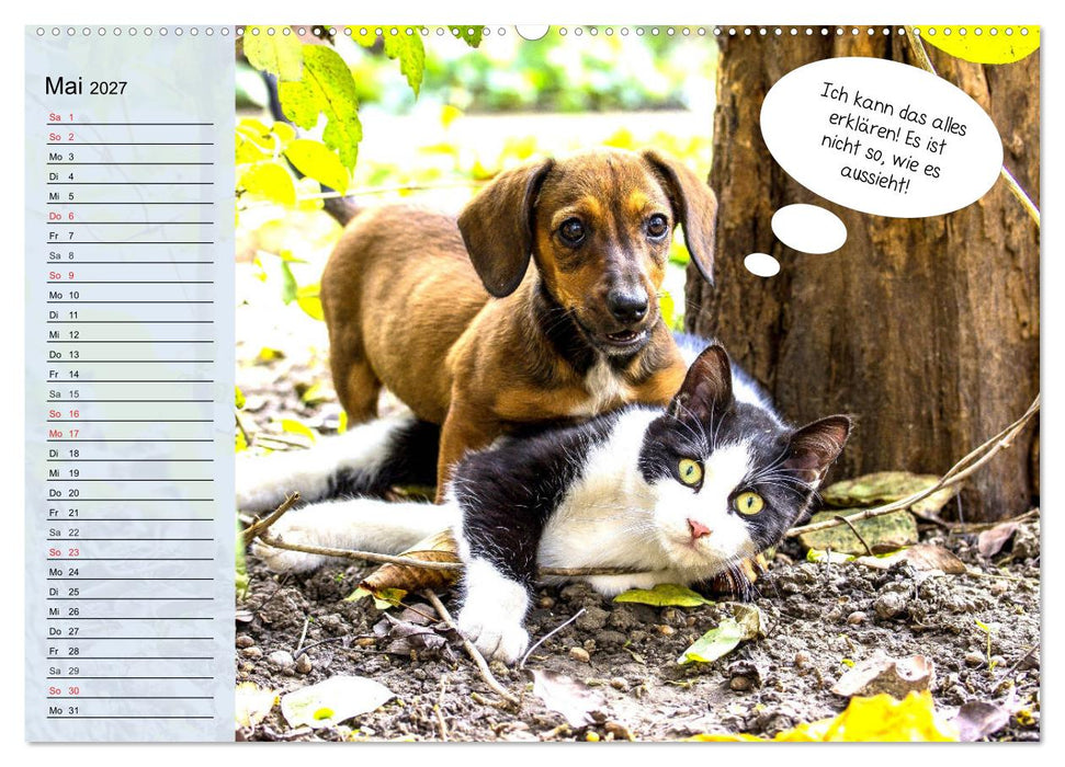 Hurra! Wir gehen Gassi! Abenteuer mit dem Hund! (CALVENDO Wandkalender 2027)