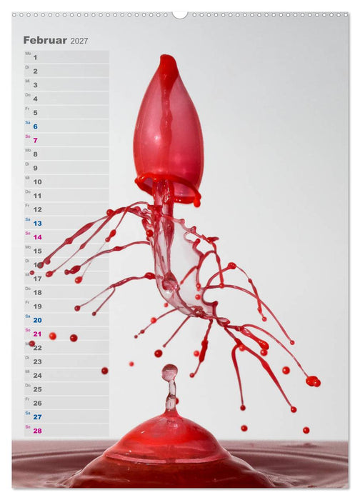 Farbenfreudig (CALVENDO Wandkalender 2027)