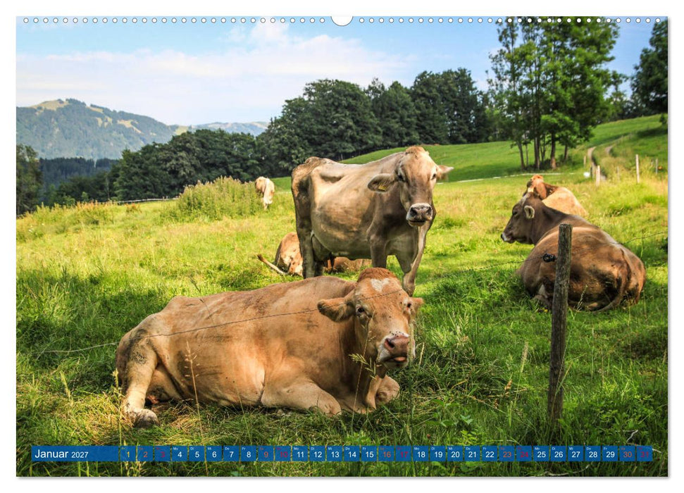 Allgäu - Perle im Süden (CALVENDO Premium Wandkalender 2027)
