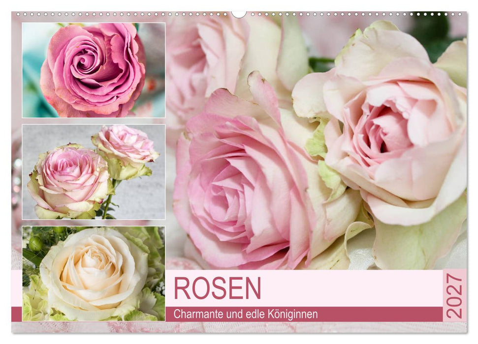Rosen. Charmante und edle Königinnen (CALVENDO Wandkalender 2027)