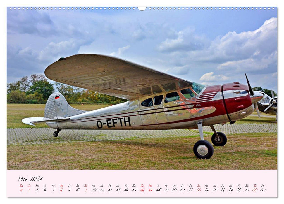 Schätzchen der Lüfte (CALVENDO Wandkalender 2027)