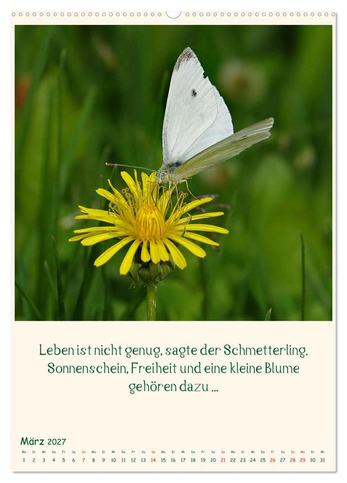Mit Blumen durchs Jahr (CALVENDO Wandkalender 2027)