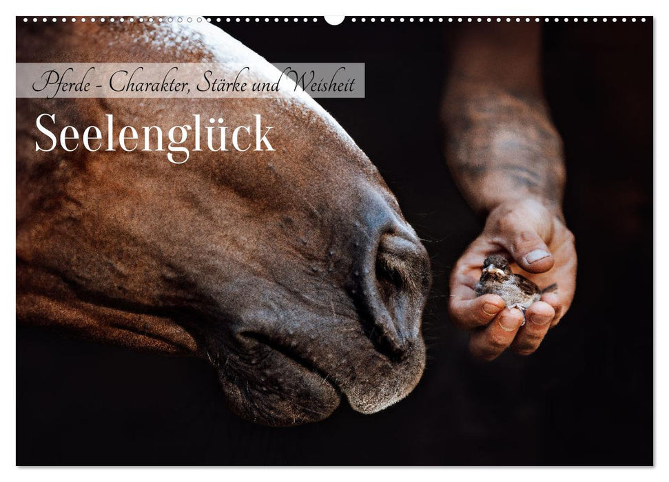 Seelenglück Kalender - Pferde - Charakter, Stärke, Weisheit (CALVENDO Wandkalender 2027)
