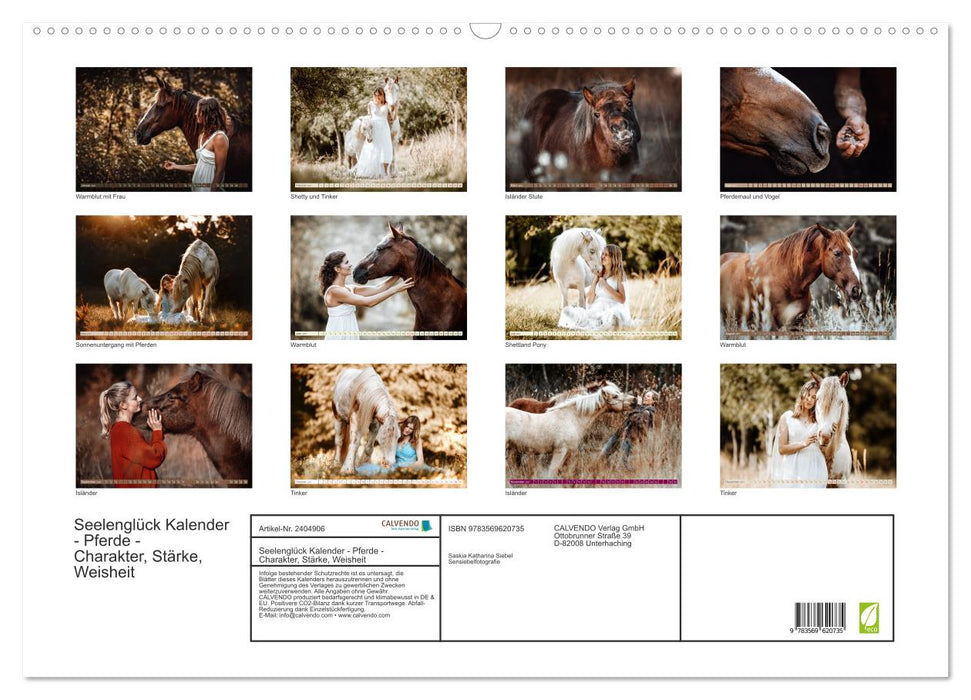 Seelenglück Kalender - Pferde - Charakter, Stärke, Weisheit (CALVENDO Wandkalender 2027)