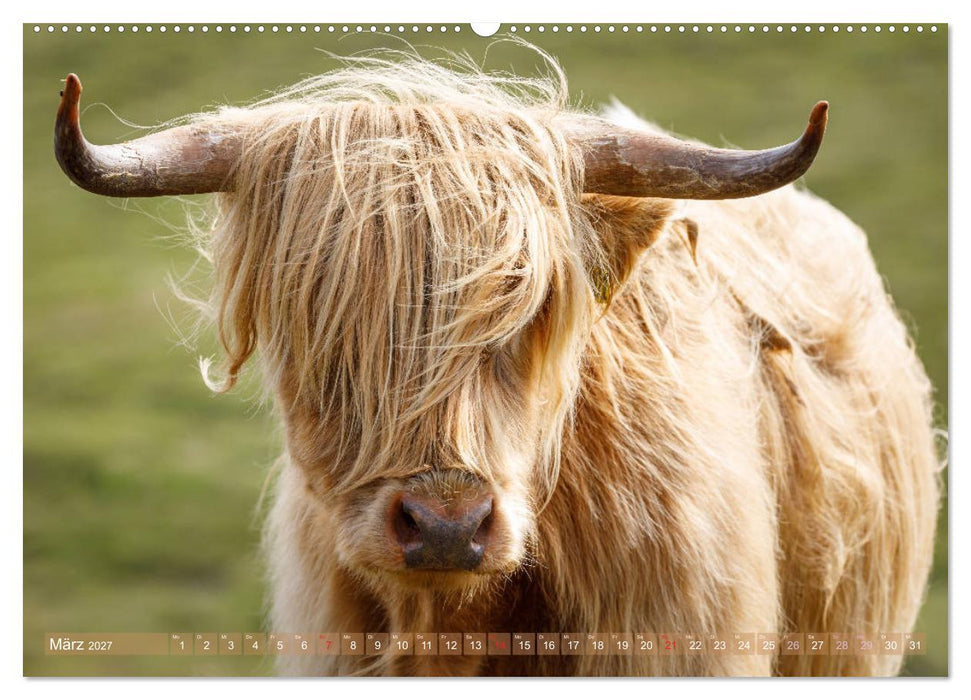 Von den Highlands zu den Hebriden (CALVENDO Wandkalender 2027)