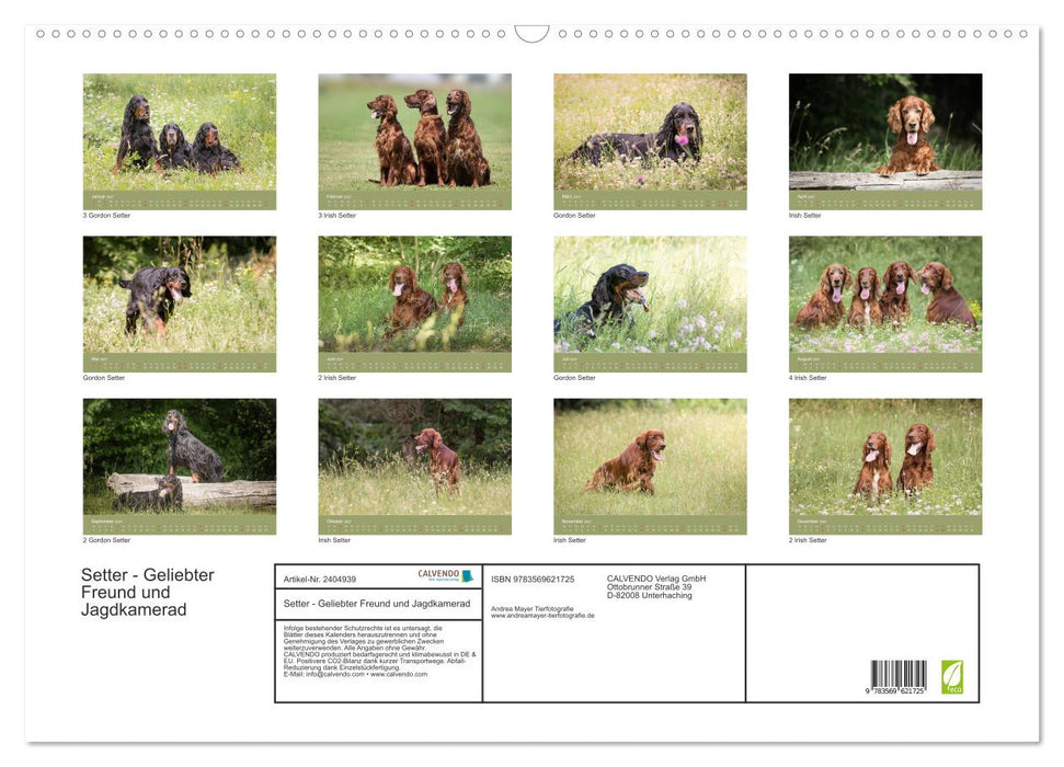 Setter - Geliebter Freund und Jagdkamerad (CALVENDO Wandkalender 2027)