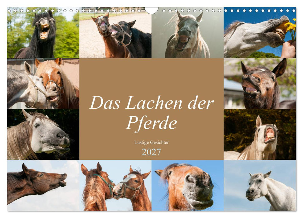 Das Lachen der Pferde - Lustige Gesichter (CALVENDO Wandkalender 2027)