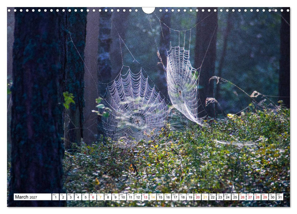 Four seasons in Estonia (CALVENDO Monthly Calendar 2027)