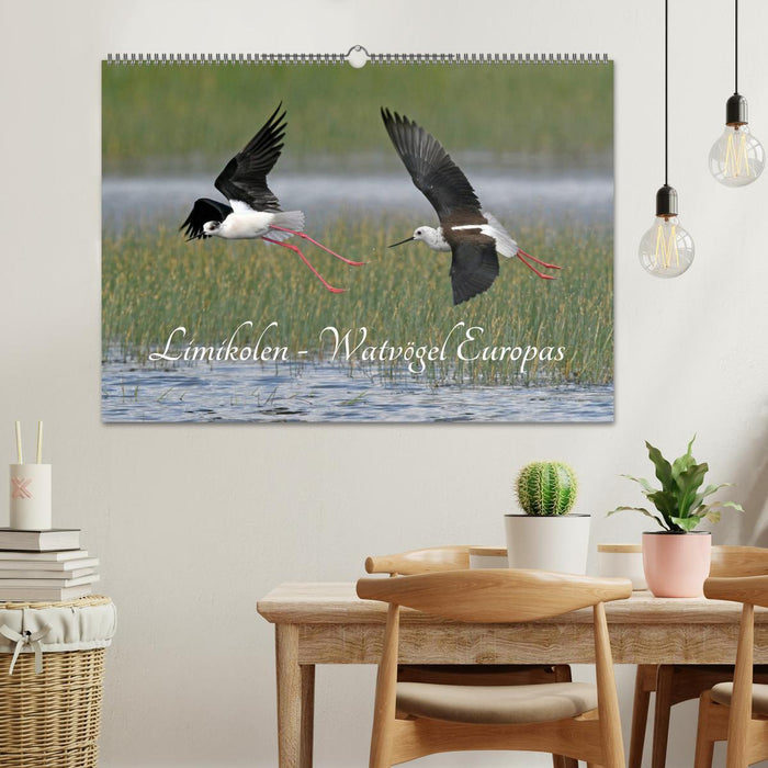 Limikolen - Watvögel Europas (CALVENDO Wandkalender 2027)