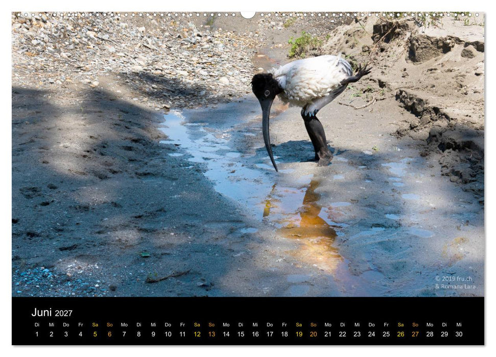 Bodypainting Animalia (CALVENDO Wandkalender 2027)