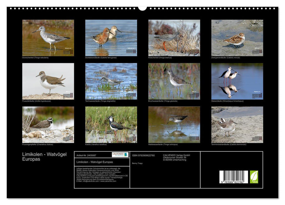 Limikolen - Watvögel Europas (CALVENDO Premium Wandkalender 2027)