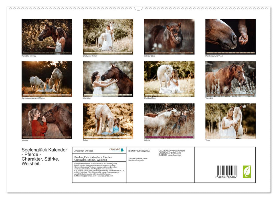 Seelenglück Kalender - Pferde - Charakter, Stärke, Weisheit (CALVENDO Premium Wandkalender 2027)