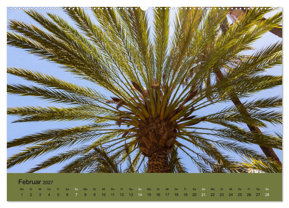 Abenteuer Marokko - eine Reise durch die Region Sous-Massa (CALVENDO Wandkalender 2027)