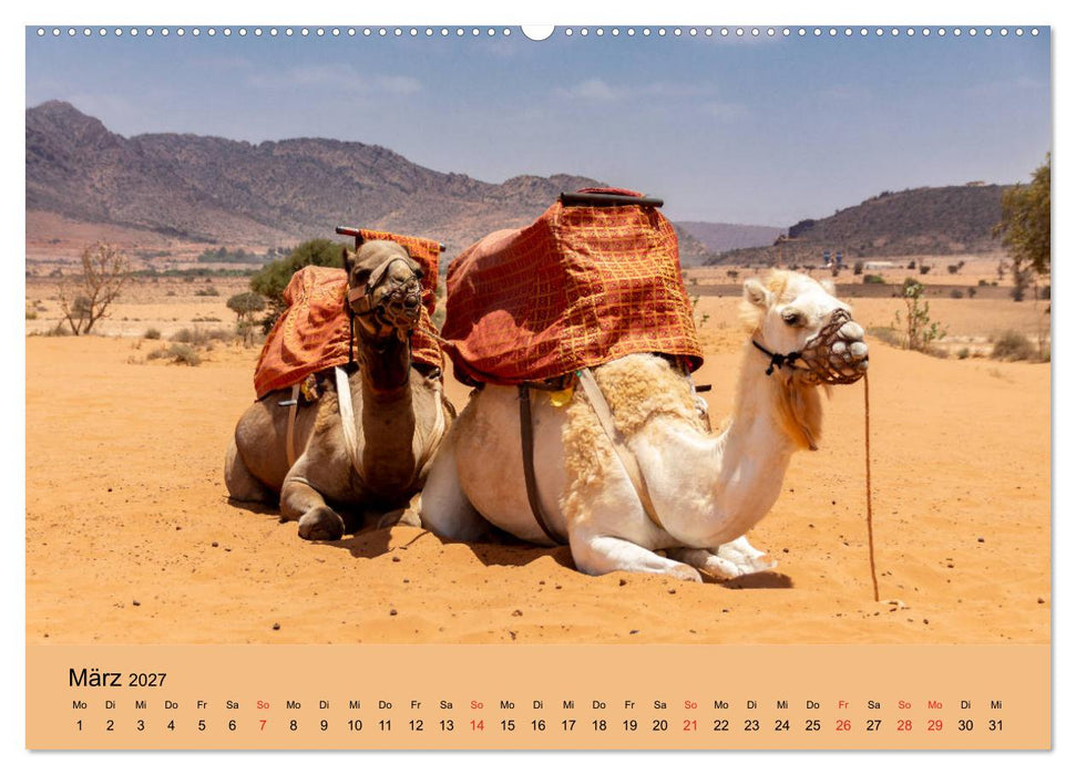 Abenteuer Marokko - eine Reise durch die Region Sous-Massa (CALVENDO Wandkalender 2027)