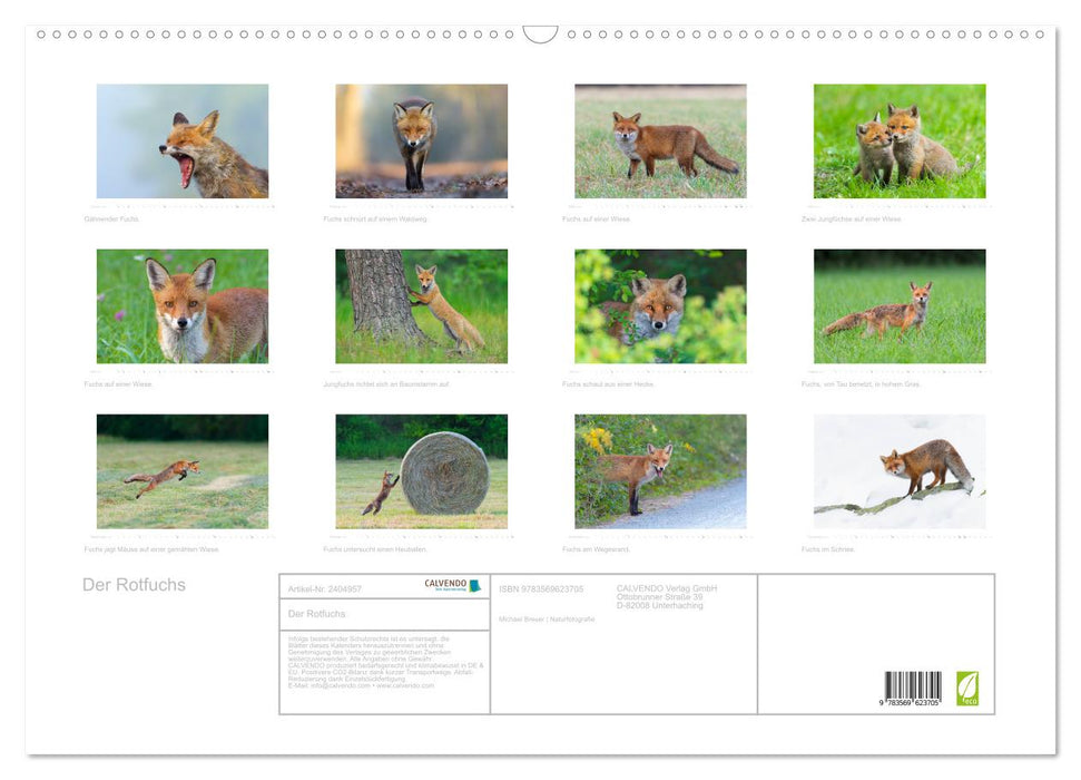 Der Rotfuchs (CALVENDO Wandkalender 2027)