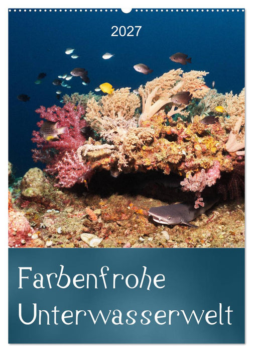 Farbenfrohe Unterwasserwelt (CALVENDO Wandkalender 2027)