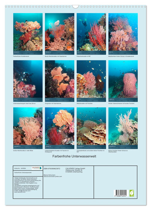 Farbenfrohe Unterwasserwelt (CALVENDO Wandkalender 2027)