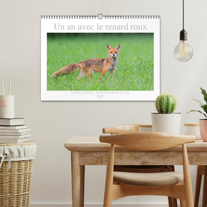 Un an avec le renard roux (CALVENDO Calendrier mensuel 2027)