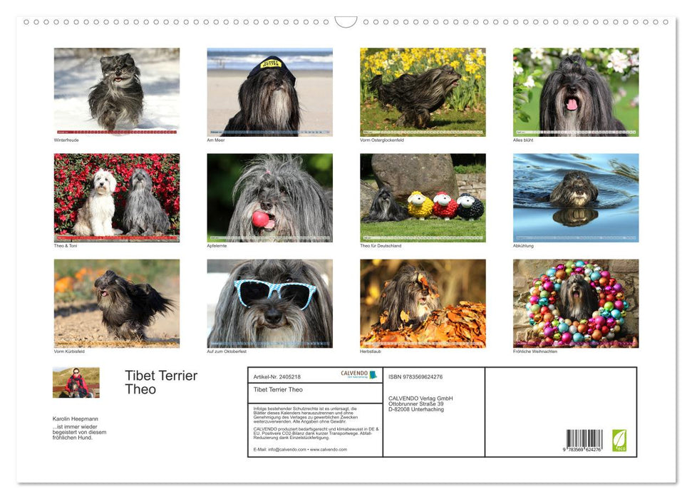 Tibet Terrier Theo (CALVENDO Wandkalender 2027)