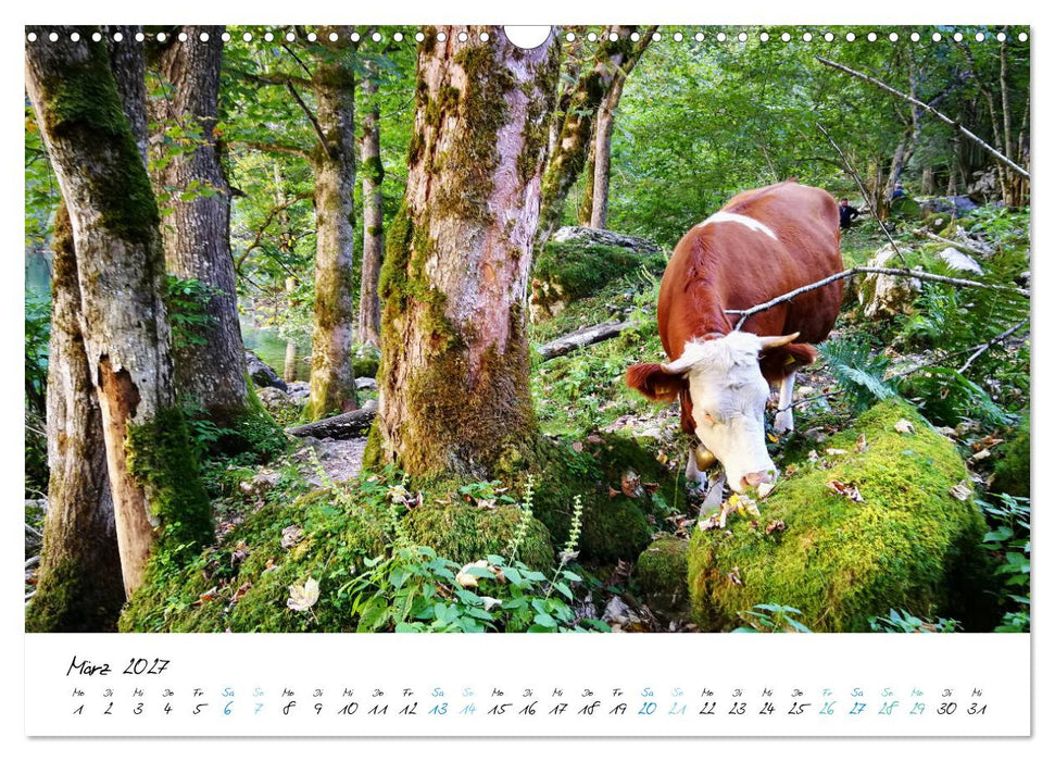 Traumhafter Königssee (CALVENDO Wandkalender 2027)