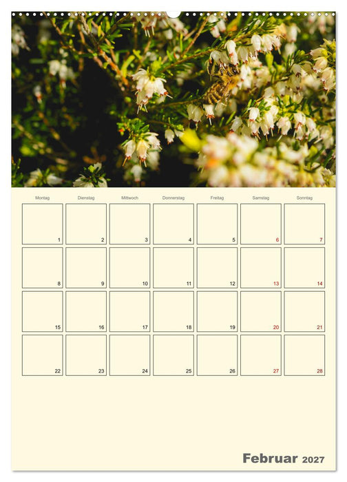 Bienen im Naturgarten (CALVENDO Wandkalender 2027)