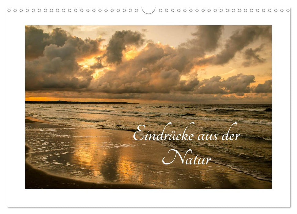 Eindrücke aus der Natur (CALVENDO Wandkalender 2027)