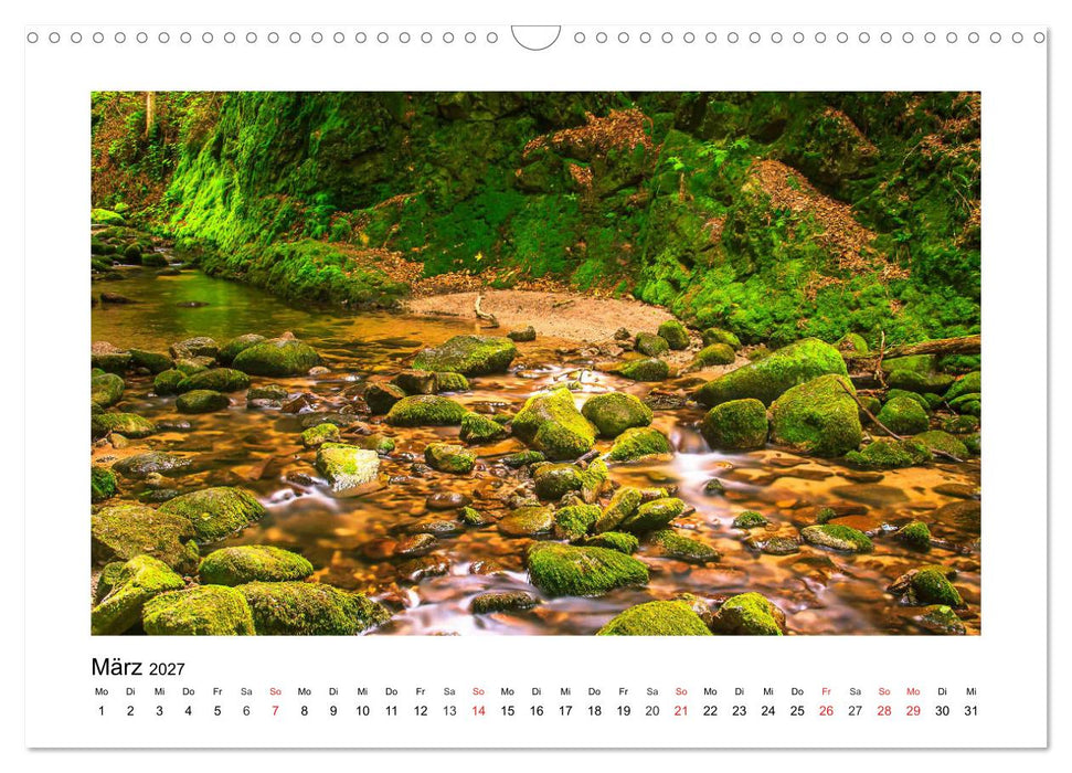 Eindrücke aus der Natur (CALVENDO Wandkalender 2027)